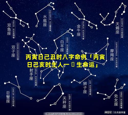 丙寅日己丑时八字命例「丙寅日己亥时生人一 ☘ 生命运」